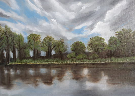 'Reflections' by Ciara Barry