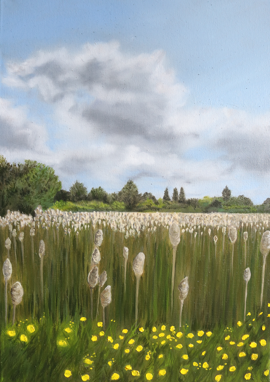 'Whispers of the Reeds' by Ciara Barry